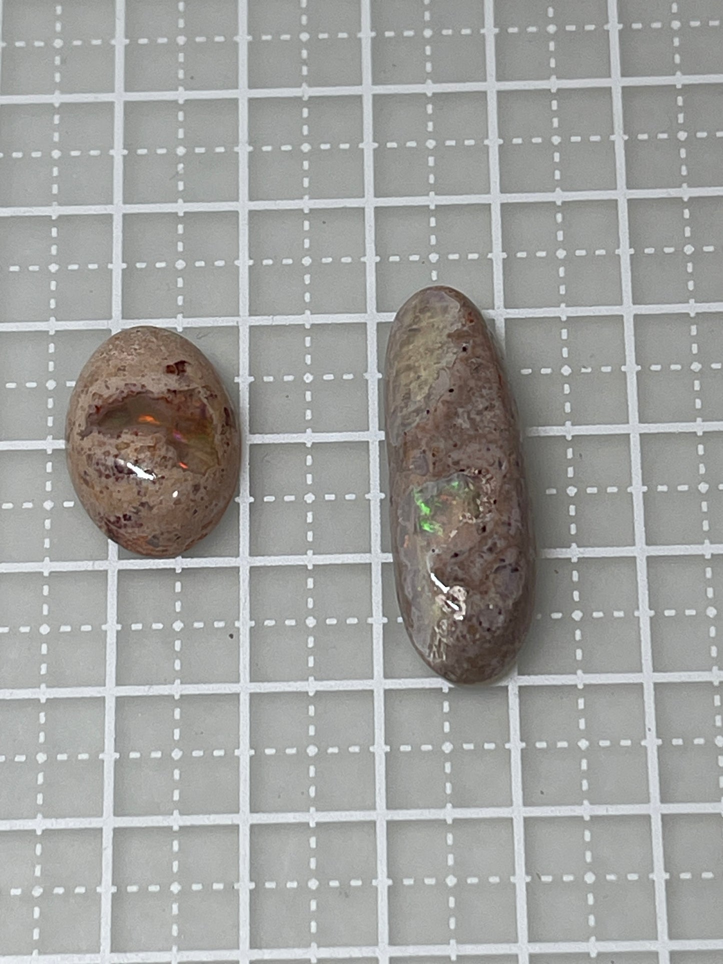 フリー560