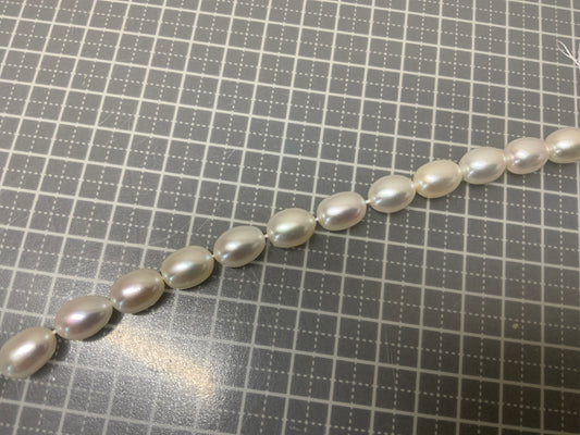 フリー0621(パール)