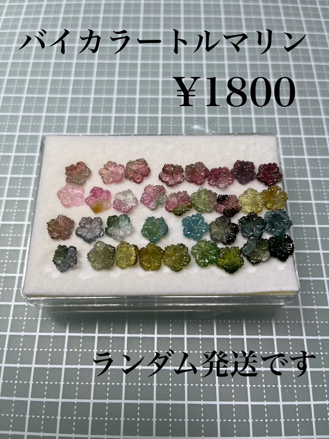 フリー099