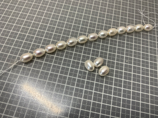 フリー0621(パール)