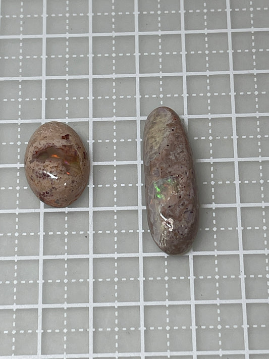フリー560