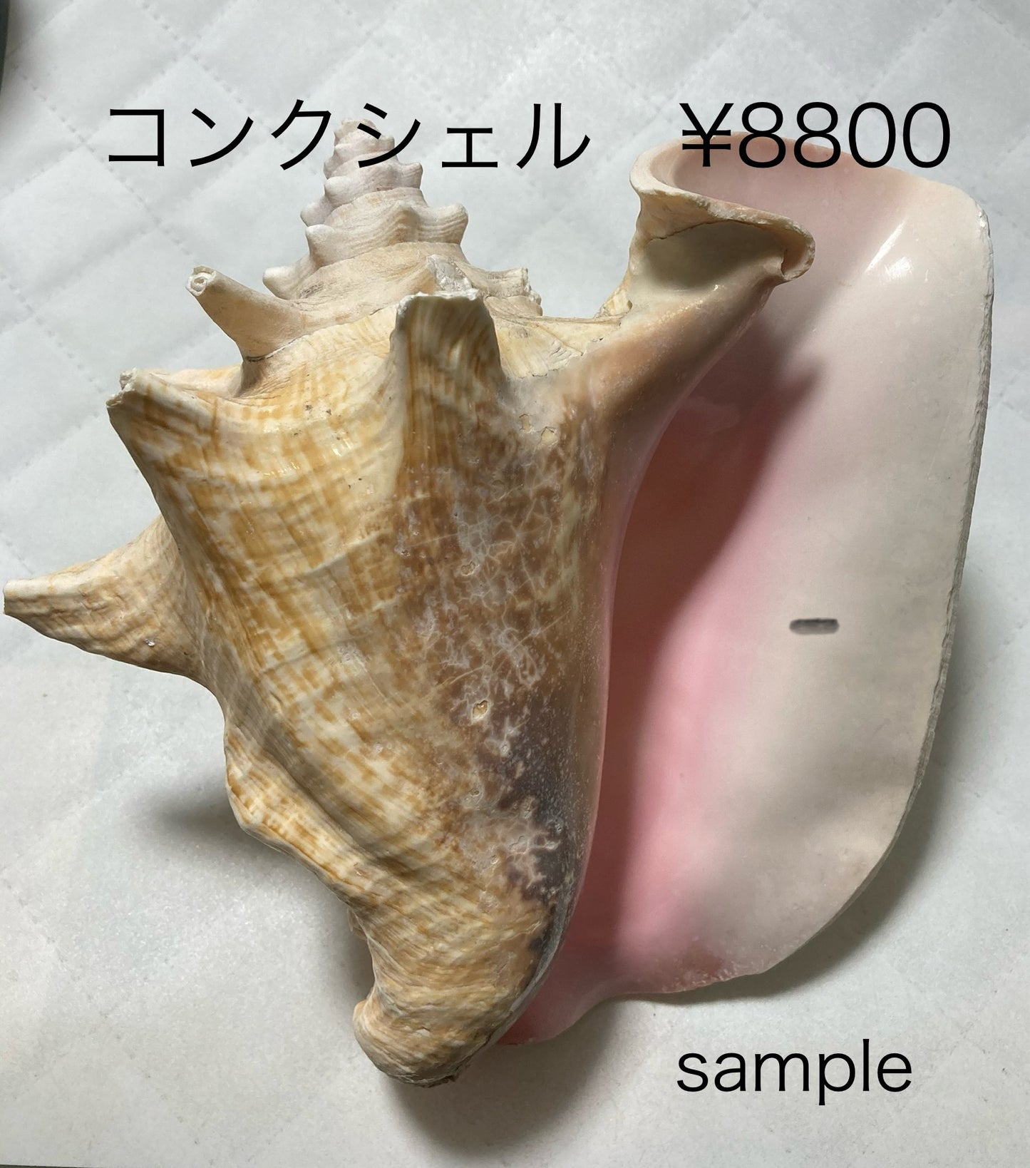 404todoさん　1213  天然石ビーズ