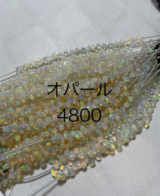 フリー704