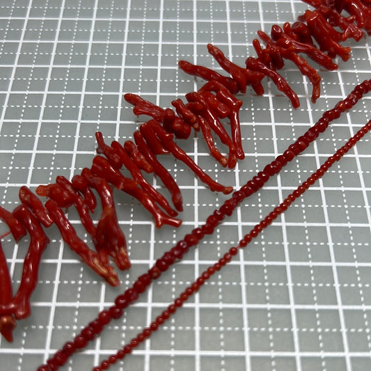 フリー0183(サンゴ)