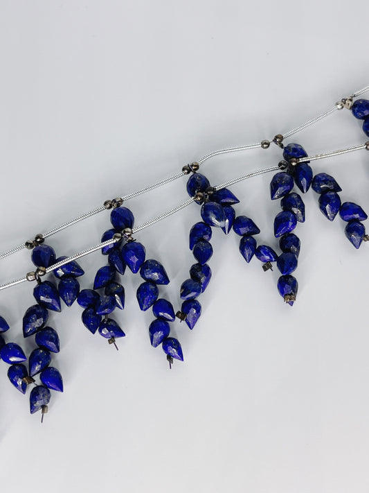 LS-01 ラピスラズリ (つぼみ)