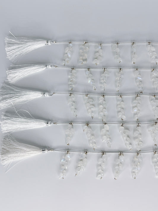 L-1 ホワイトラブラド (つぼみ)